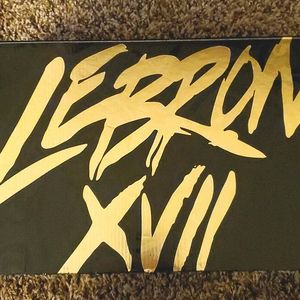 Nike Lebron 17 Low Titan